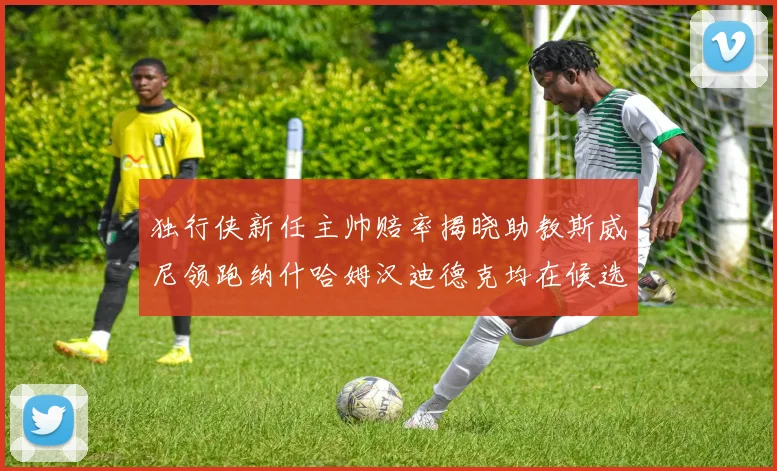 独行侠新任主帅赔率揭晓助教斯威尼领跑纳什哈姆汉迪德克均在候选之中